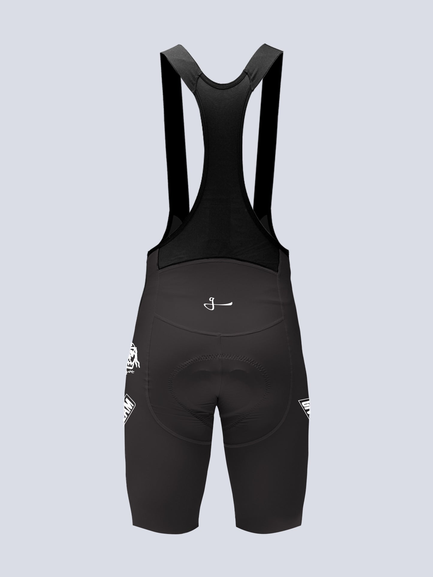 MEN'S GVL RT 2026 BIB SHORTS - SHADOW
